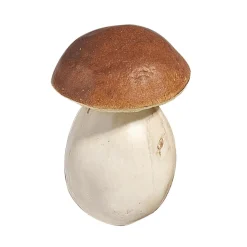 Cèpes Aliment Factice 10 Cm, 3 Pces-DecoWoerner Sale