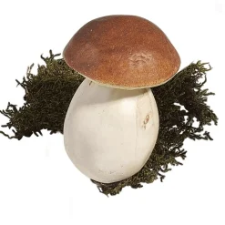 Cèpes Aliment Factice 10 Cm, 3 Pces-DecoWoerner Sale