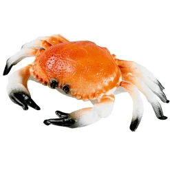 Crabe Alimentaire Factice 20 Cm-DecoWoerner