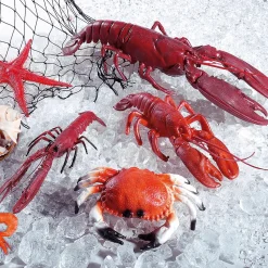 Crabe Alimentaire Factice 20 Cm-DecoWoerner