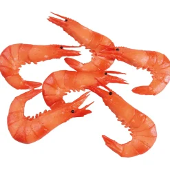 Crevettes Factices, Paquet De 6 Pièces-DecoWoerner Hot