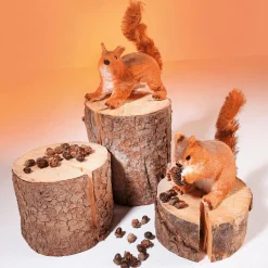 Écureuil Déco Haut. 28 Cm-DecoWoerner Hot