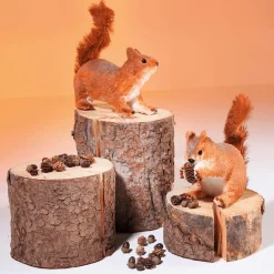 Écureuil Déco Haut. 24 Cm-DecoWoerner