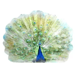 Décor à Suspendre "Paon" Haut. 62 Cm-DecoWoerner Sale
