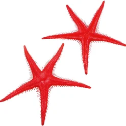 Etoile De Mer Factice, 2 Pces-DecoWoerner Clearance