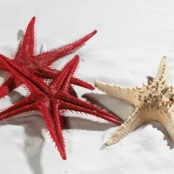 Etoile De Mer Factice, 2 Pces-DecoWoerner Clearance