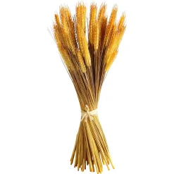 Fagot De Blé Déco 60 Cm-DecoWoerner
