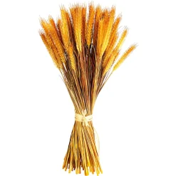Fagot De Blé Déco 60 Cm-DecoWoerner