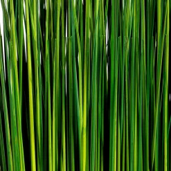 Fagot D'herbe Déco 76 Cm-DecoWoerner Sale