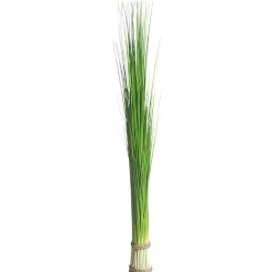Fagot D’herbe Déco Extra Long, 90 Cm-DecoWoerner