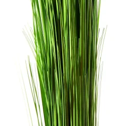 Fagot D’herbe Déco Extra Long, 90 Cm-DecoWoerner