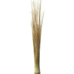 Fagot D’herbe Déco Extra Long, 90 Cm-DecoWoerner Best