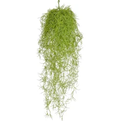 Feuille D'asperge Artificielle Ignifuge 75 Cm B1-DecoWoerner