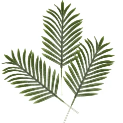 Feuille De Palmier Areca Déco, Long. 58 Cm, 3 Pces-DecoWoerner Outlet