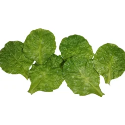 Feuilles D'épinards Aliment Factice, 6 Pces-DecoWoerner