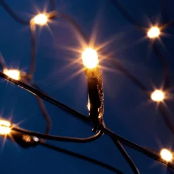 Filet Lumineux LED Pour L'extérieur, 240 Cm, Vert-DecoWoerner New