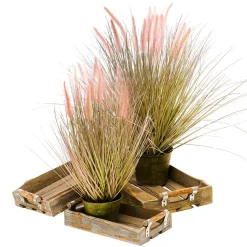 Fine Herbe à Plumes Décorative -argentée Dans Un élégant Pot En Zinc De 57 Cm-DecoWoerner New