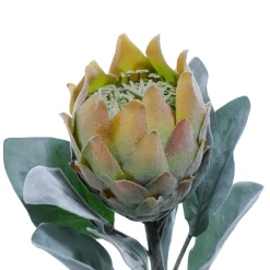 Fleur Artificielle Protea e, 72 Cm-DecoWoerner