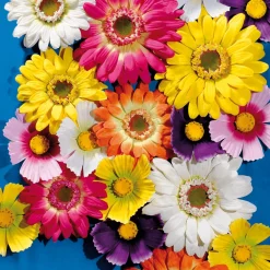 Fleur De Gerbera Géante, Ø 45 cm,-DecoWoerner Best