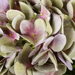 Fleur D'hortensia Artificielle 60 Cm-DecoWoerner