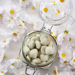 Fleurs Déco Marguerites, 72 Pces-DecoWoerner