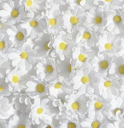 Fleurs Déco Marguerites, 72 Pces-DecoWoerner