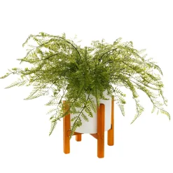 Fougère En Pot, 40 Cm-DecoWoerner New