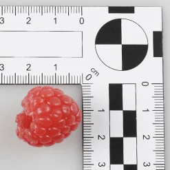 Framboises Aliment Factice, 12 Pièces-DecoWoerner New