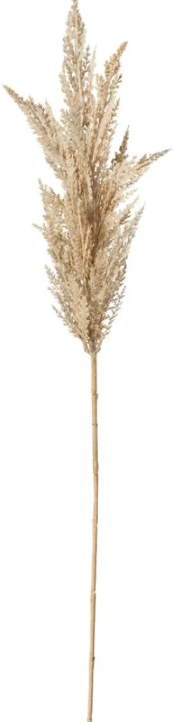 Gazon De La Pampa En Roseau Décoratif, 94 Cm-DecoWoerner Hot