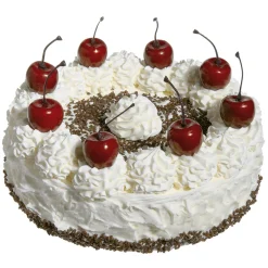 Gâteau à La Crème Et Au Kirsch 20 Cm Ø-DecoWoerner Discount