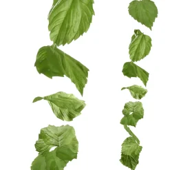 Guirlande Artificielle De Feuilles De Bouleau 160 Cm-DecoWoerner Best