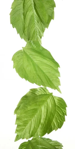 Guirlande Artificielle De Feuilles De Bouleau 160 Cm-DecoWoerner Best