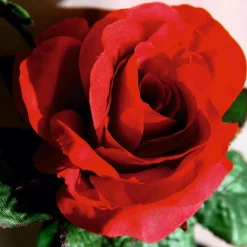 Guirlande De Roses Artificielles 180 Cm, s-DecoWoerner Online