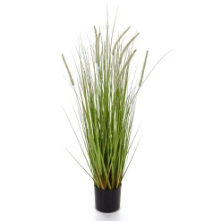 Herbe à Lampions Décorative En Pot Noir 90 Cm-DecoWoerner Clearance