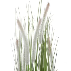 Herbe à Lampions Décorative En Pot Noir 90 Cm-DecoWoerner Clearance