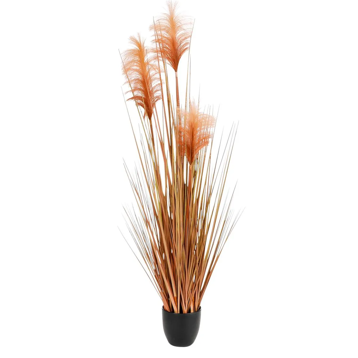 Herbe De La Pampa Décorative Teintée Dans Un Pot Noir 117 Cm-DecoWoerner