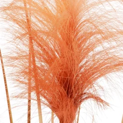 Herbe De La Pampa Décorative Teintée Dans Un Pot Noir 117 Cm-DecoWoerner