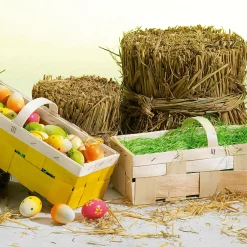 Herbe De Pâques, e-DecoWoerner Best