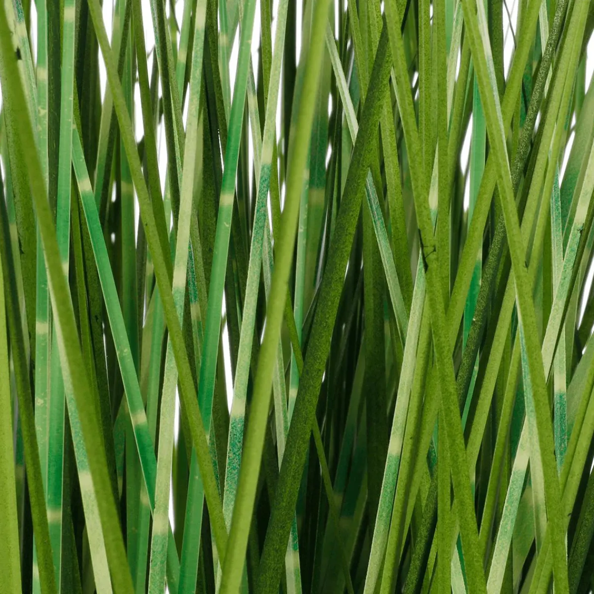 Herbe Zébrée Décorative En Pot Blanc 78 Cm-DecoWoerner New