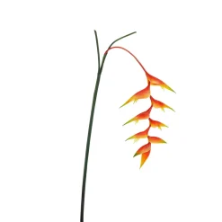 Hélicon Artificiel Pinces De Homard 30 X 96 Cm-DecoWoerner Best