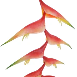 Hélicon Artificiel Pinces De Homard 30 X 96 Cm-DecoWoerner Best