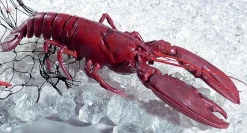 Homard Aliment Factice-DecoWoerner Outlet