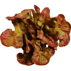 Laitue Feuille De Chêne Aliment Factice, Ø 23 Cm-DecoWoerner New