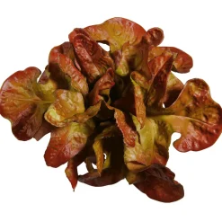 Laitue Feuille De Chêne Aliment Factice, Ø 23 Cm-DecoWoerner New