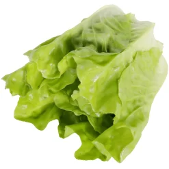 Laitue Romaine Aliment Factice-DecoWoerner