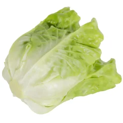 Laitue Romaine Aliment Factice-DecoWoerner