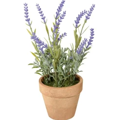 Lavande Déco En Pot, 23 Cm-DecoWoerner Discount