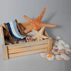 Lot De Caisses En Bois, Nature-DecoWoerner Sale