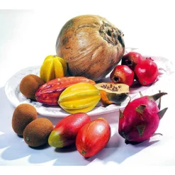 Mangue Zillate Aliment Factice-DecoWoerner Sale
