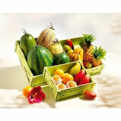 Melon Galia Aliment Factice 16 Cm Ø-DecoWoerner Online